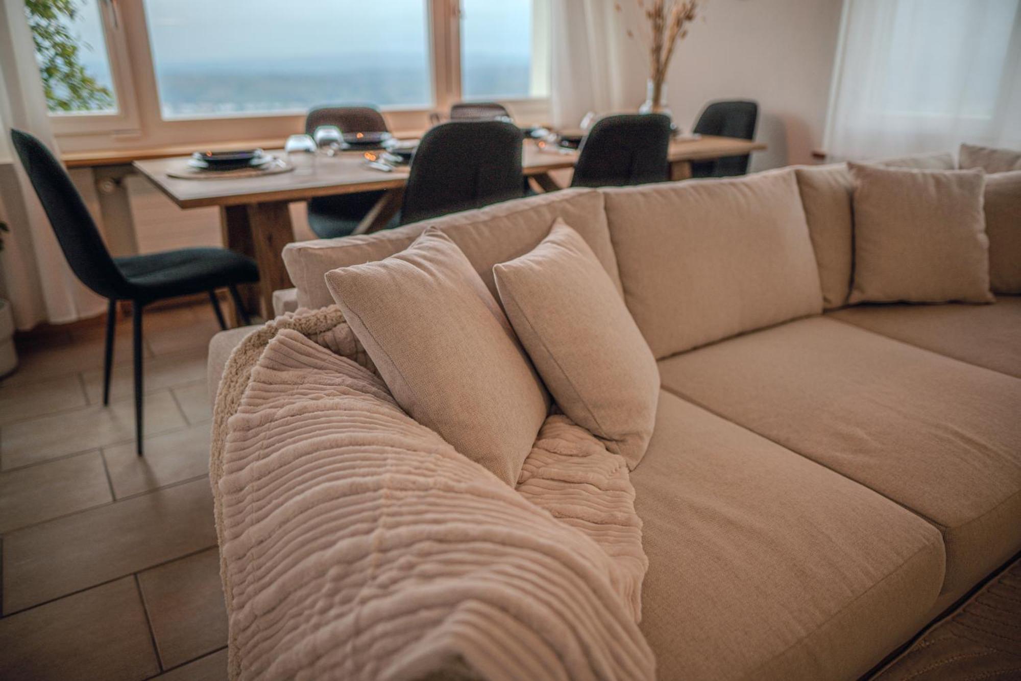 Appartement Sky Paradise 20min To Zurich Centre Widen