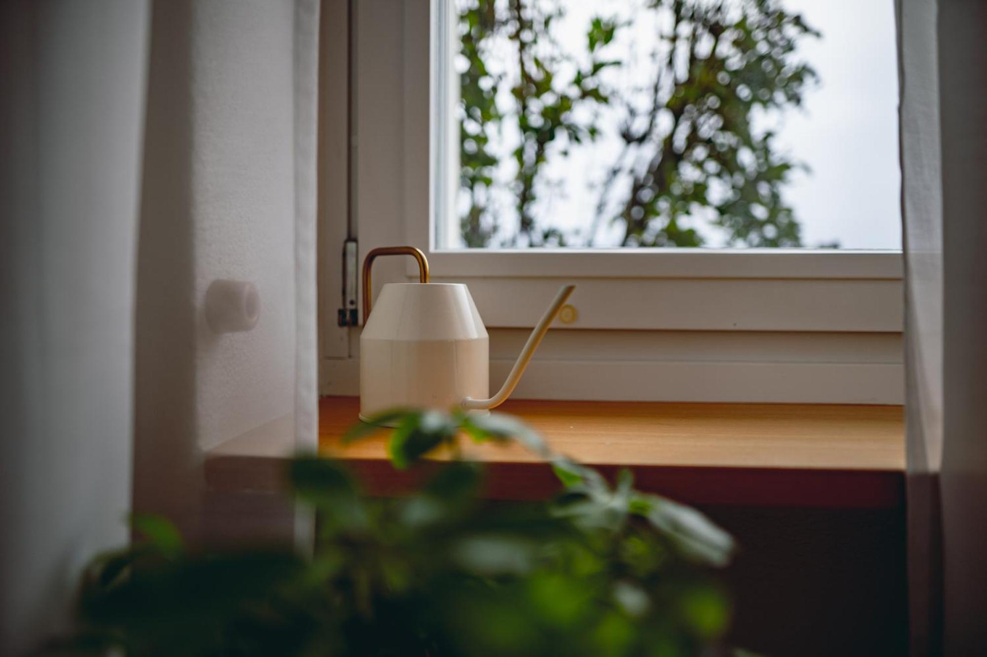 Appartement Sky Paradise 20min To Zurich Centre
