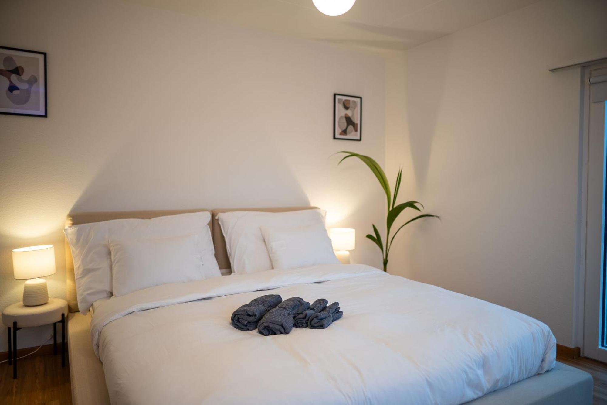 Sky Paradise 20min To Zurich Centre * Widen