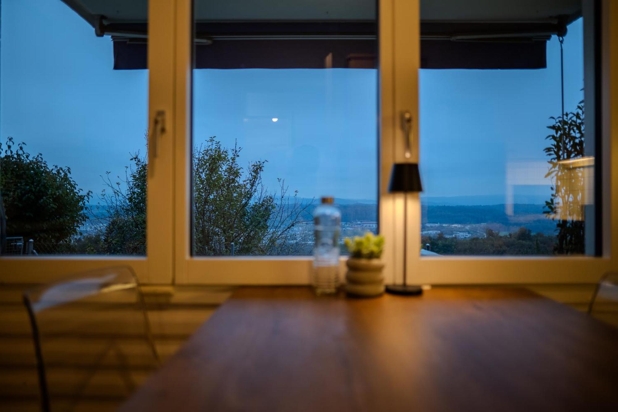 Sky Paradise 20min To Zurich Centre Widen